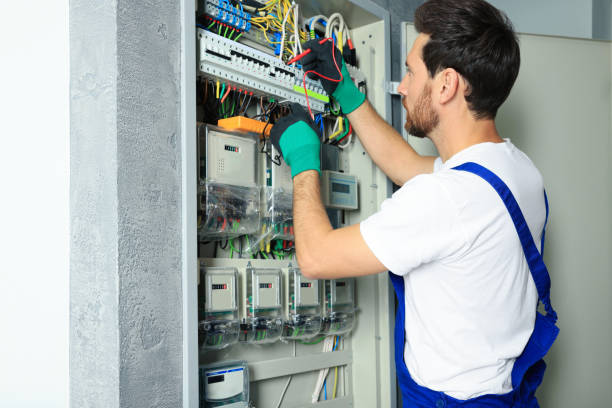 Best Home Electrical Repair  in Norwalk, IA